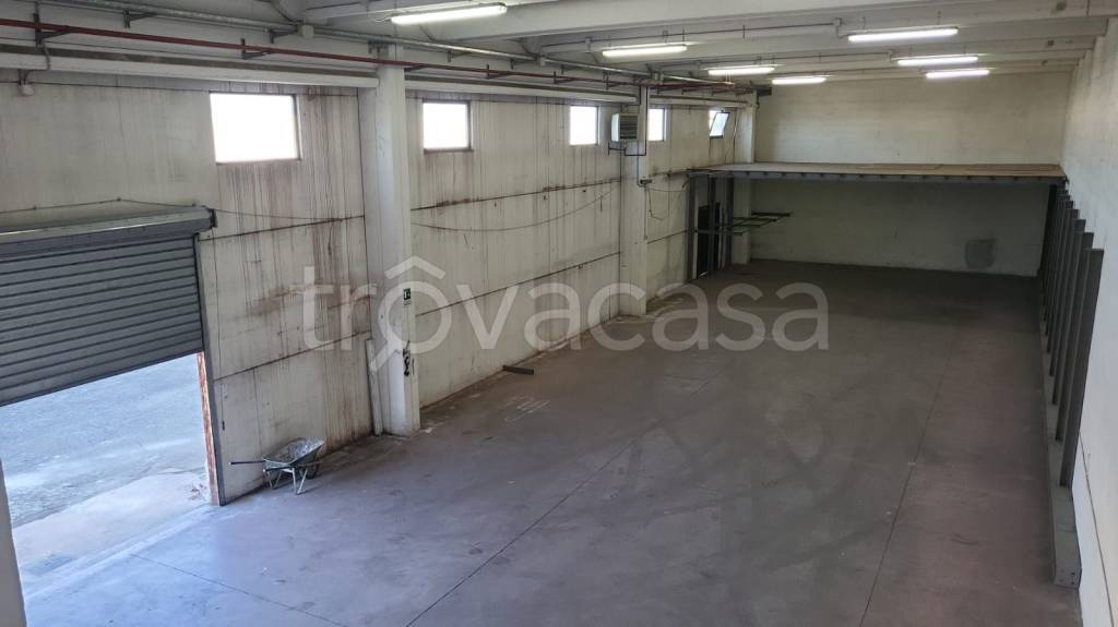 locale commerciale in affitto ad Albano Laziale in zona Pavona