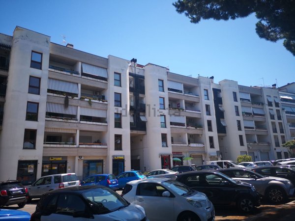 appartamento in affitto ad Albano Laziale