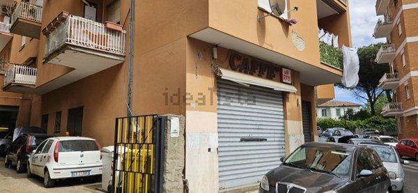 casa indipendente in affitto ad Albano Laziale
