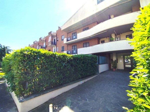appartamento in affitto ad Albano Laziale