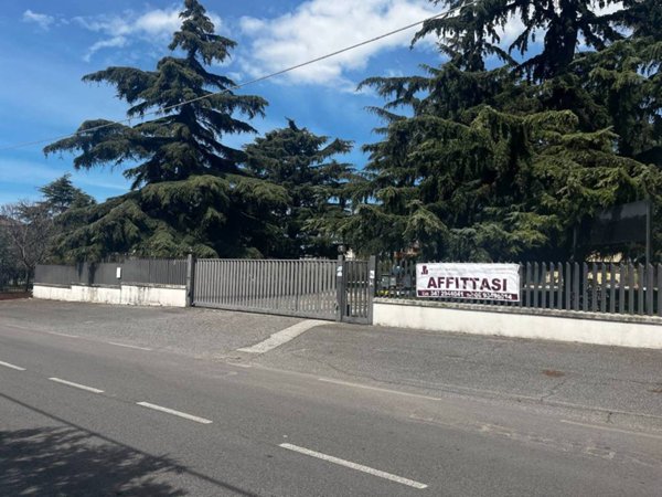capannone in affitto ad Albano Laziale