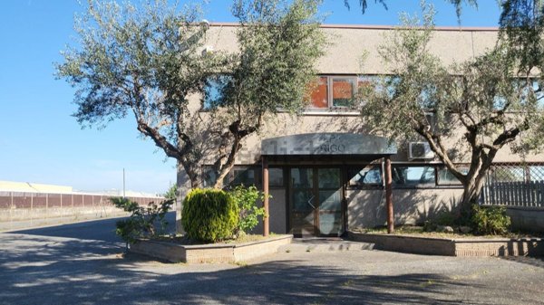 locale di sgombero in affitto ad Albano Laziale in zona Marfoli