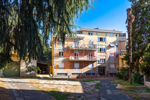 appartamento in affitto ad Albano Laziale
