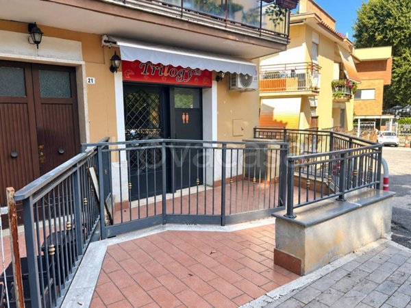 casa indipendente in affitto ad Albano Laziale