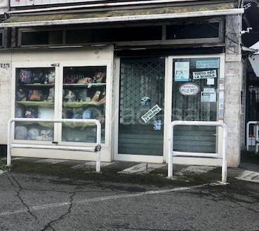 appartamento in affitto ad Anguillara Sabazia