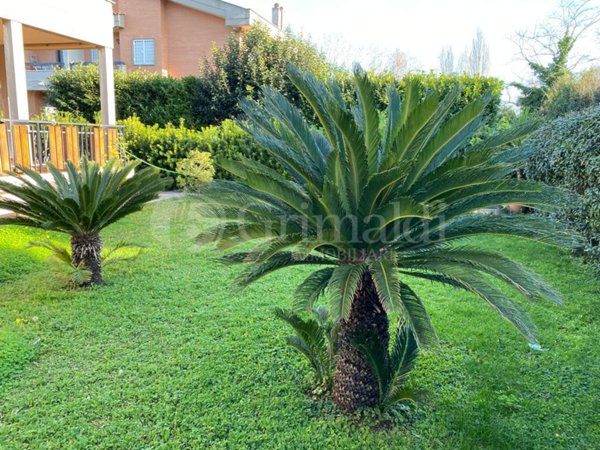 casa indipendente in affitto ad Anzio in zona Mare