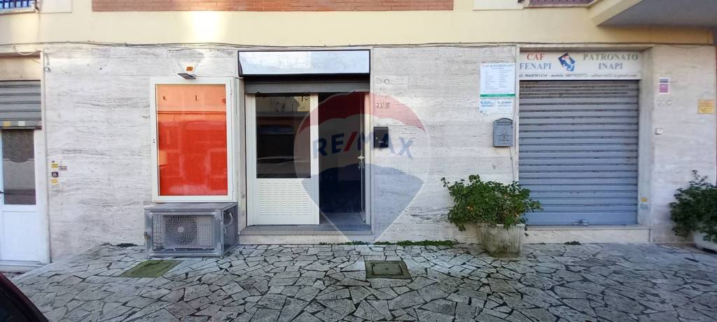 immagine annuncio 0 di 14
