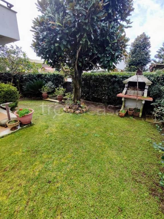 casa indipendente in affitto ad Anzio in zona Villa Claudia
