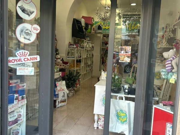 monolocale in affitto ad Anzio