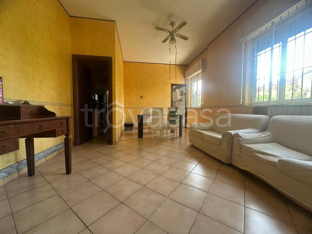 appartamento in affitto ad Anzio in zona Villa Claudia