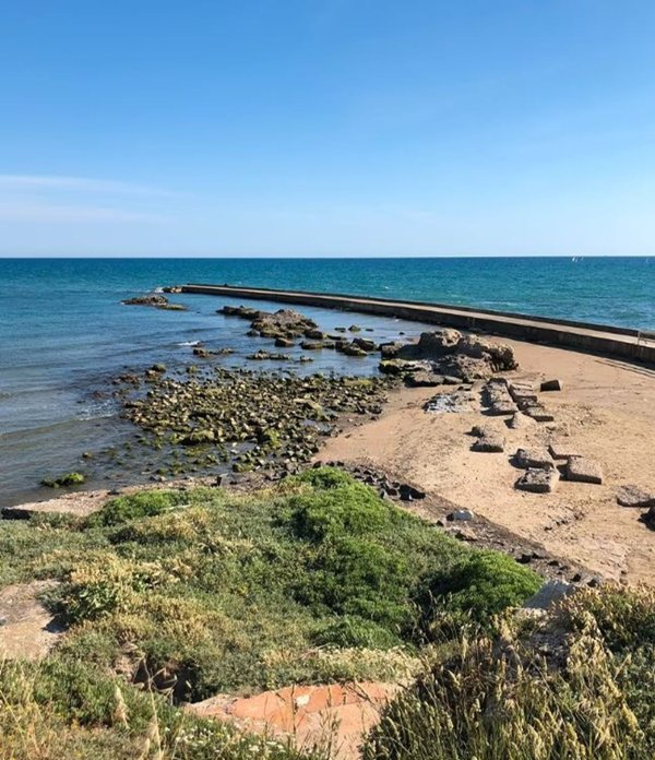 appartamento in affitto ad Anzio in zona Mare