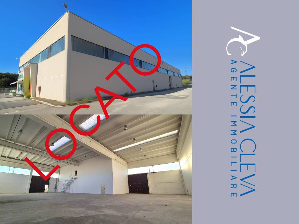 locale commerciale in affitto ad Anzio