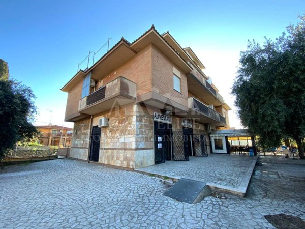 negozio in affitto ad Anzio in zona Lido dei Pini