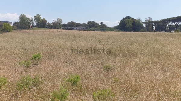 casa indipendente in affitto ad Anzio in zona Villa Claudia