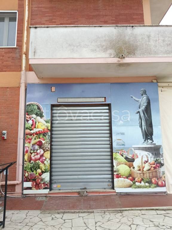 negozio in affitto ad Anzio in zona Anzio Colonia