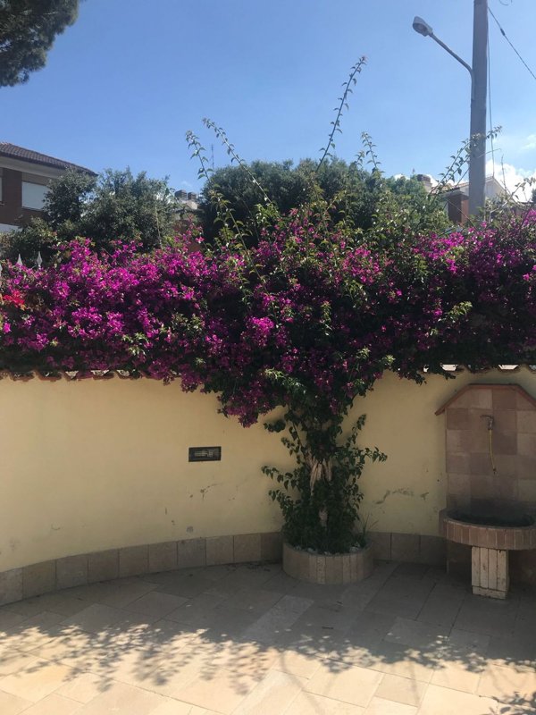 appartamento in affitto ad Anzio in zona Lido delle Sirene