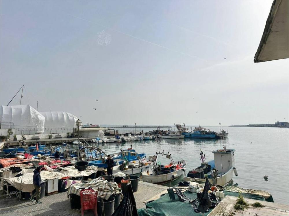 negozio in affitto ad Anzio in zona Mare