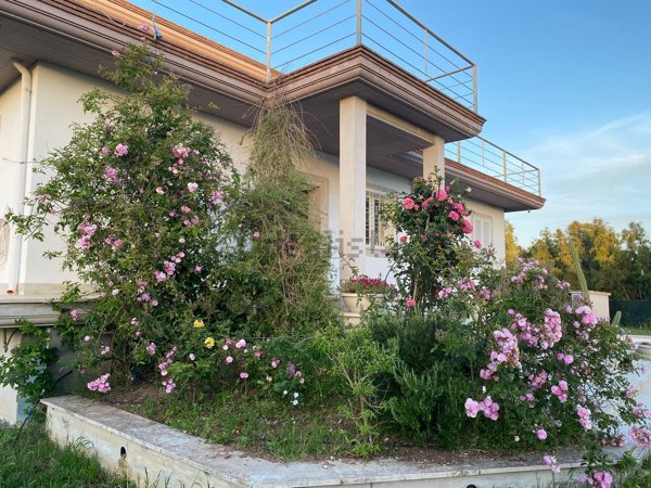 casa indipendente in affitto ad Anzio