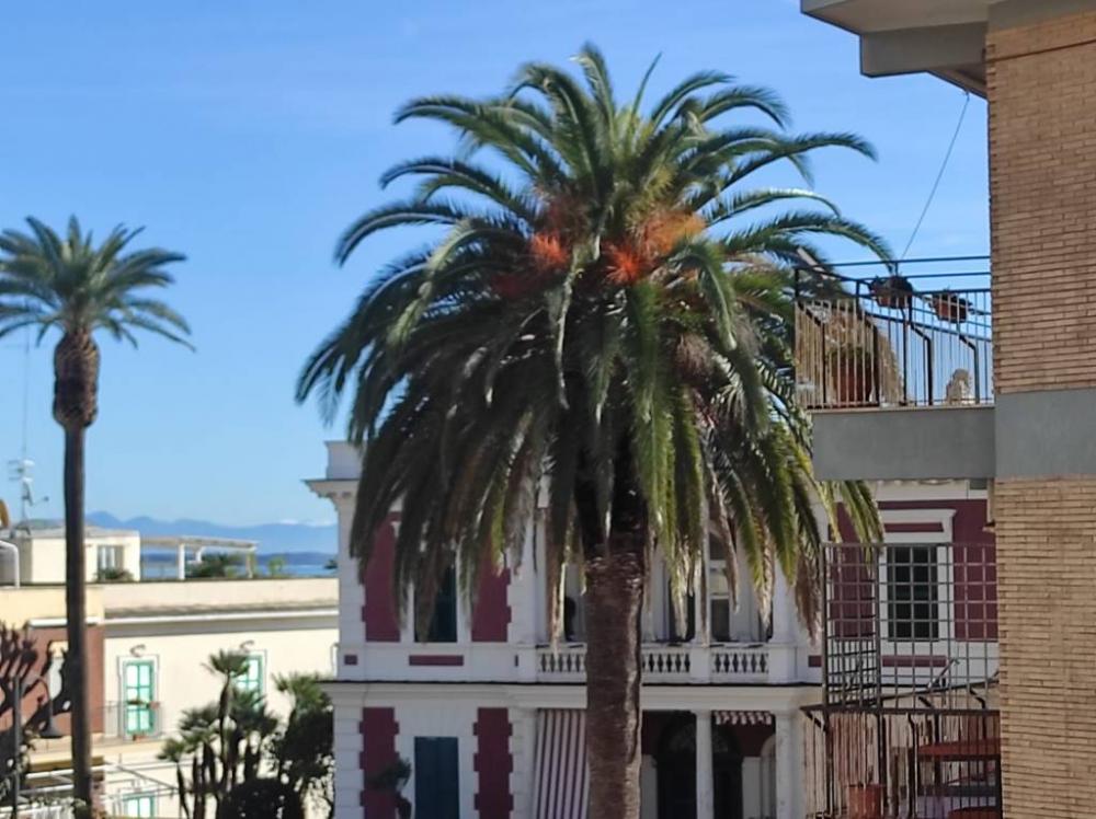 appartamento in affitto ad Anzio in zona Mare