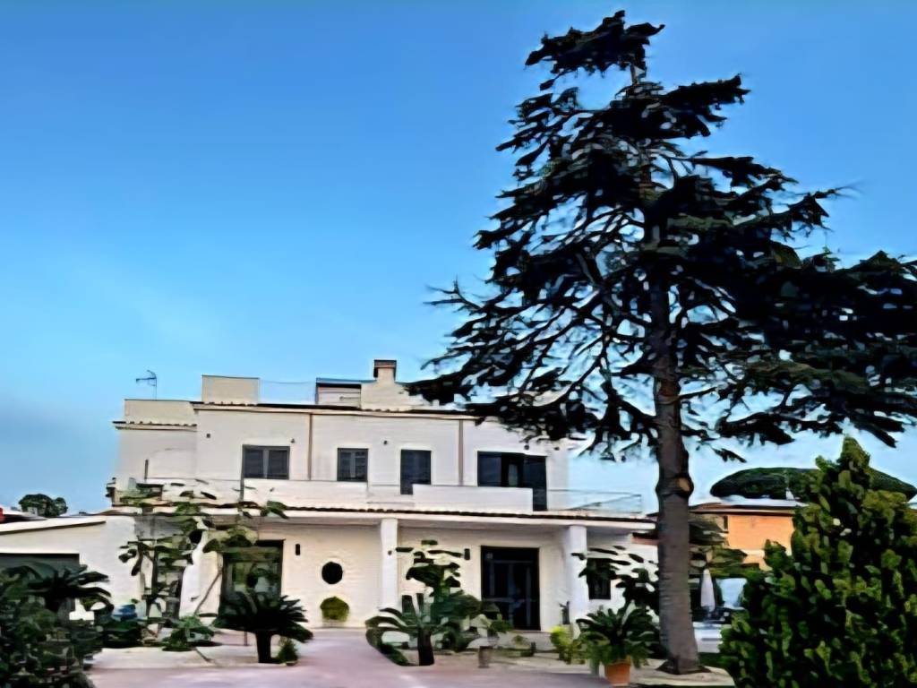 appartamento in affitto ad Anzio in zona Mare