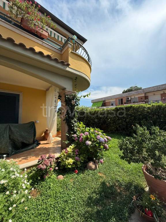 casa indipendente in affitto ad Anzio in zona Mare