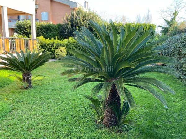 casa indipendente in affitto ad Anzio in zona Mare