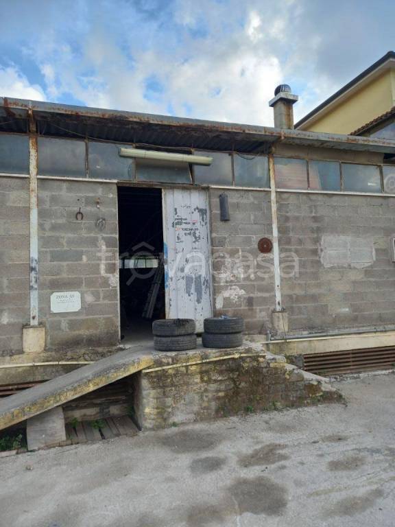 appartamento in affitto ad Anzio in zona Villa Claudia