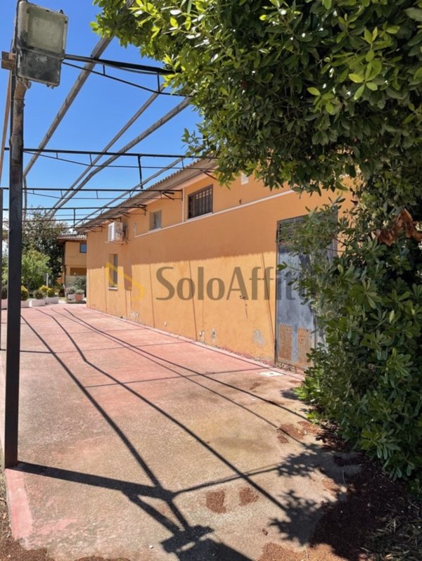 negozio in affitto ad Anzio