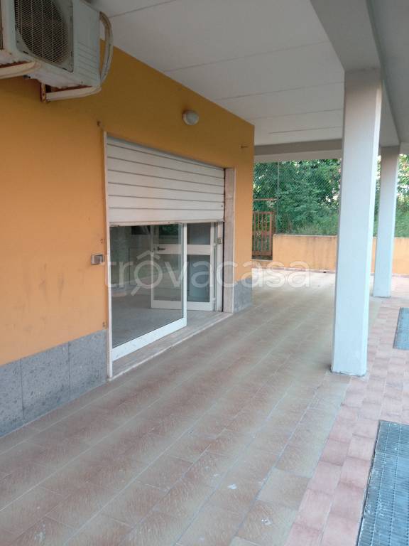monolocale in affitto ad Ariccia