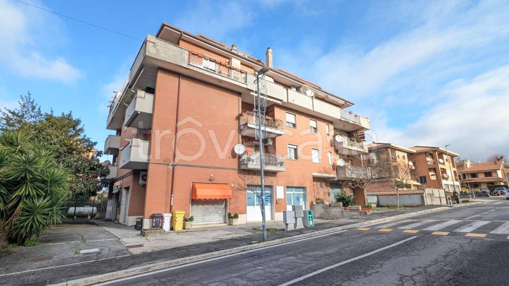 negozio in affitto ad Ariccia