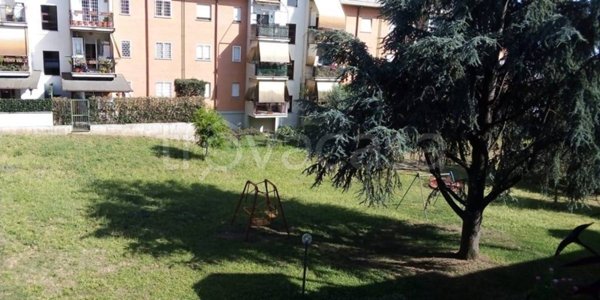 appartamento in affitto ad Ariccia