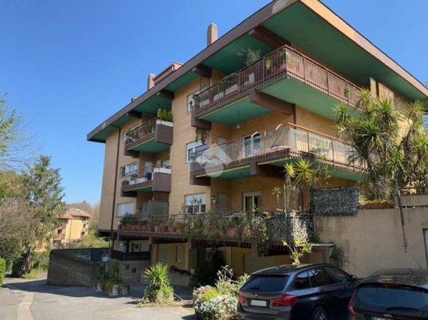 appartamento in affitto ad Ariccia