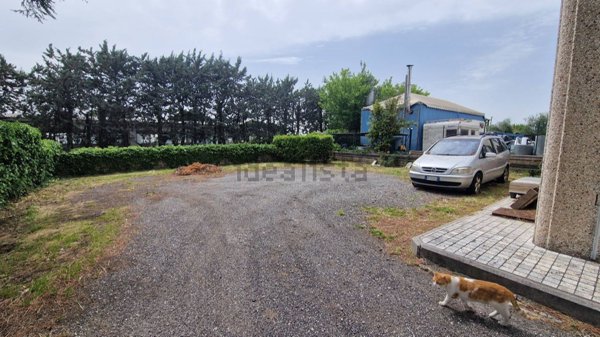 capannone in affitto ad Ariccia