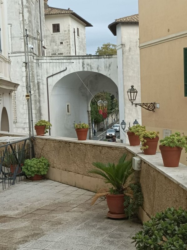 appartamento in affitto ad Ariccia