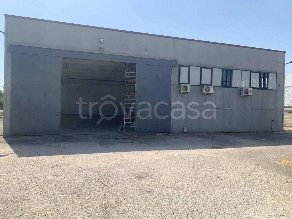 locale commerciale in affitto ad Ariccia