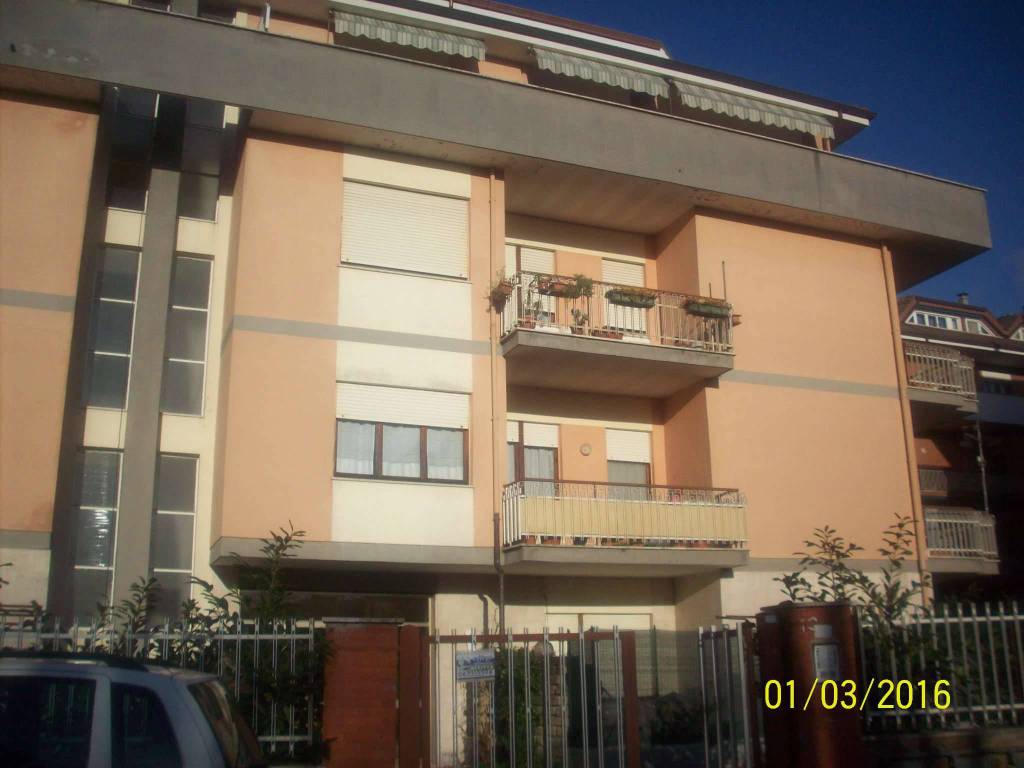 appartamento in affitto ad Ariccia