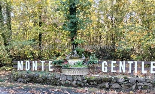 appartamento in affitto ad Ariccia