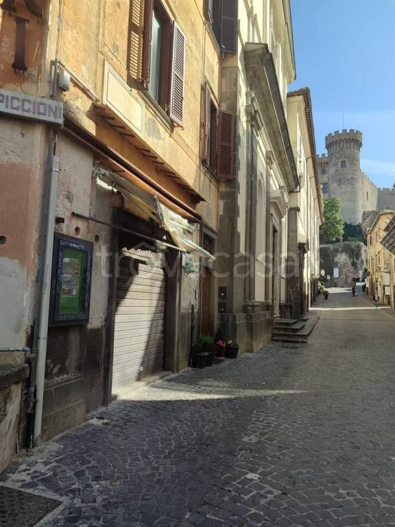negozio in affitto a Bracciano