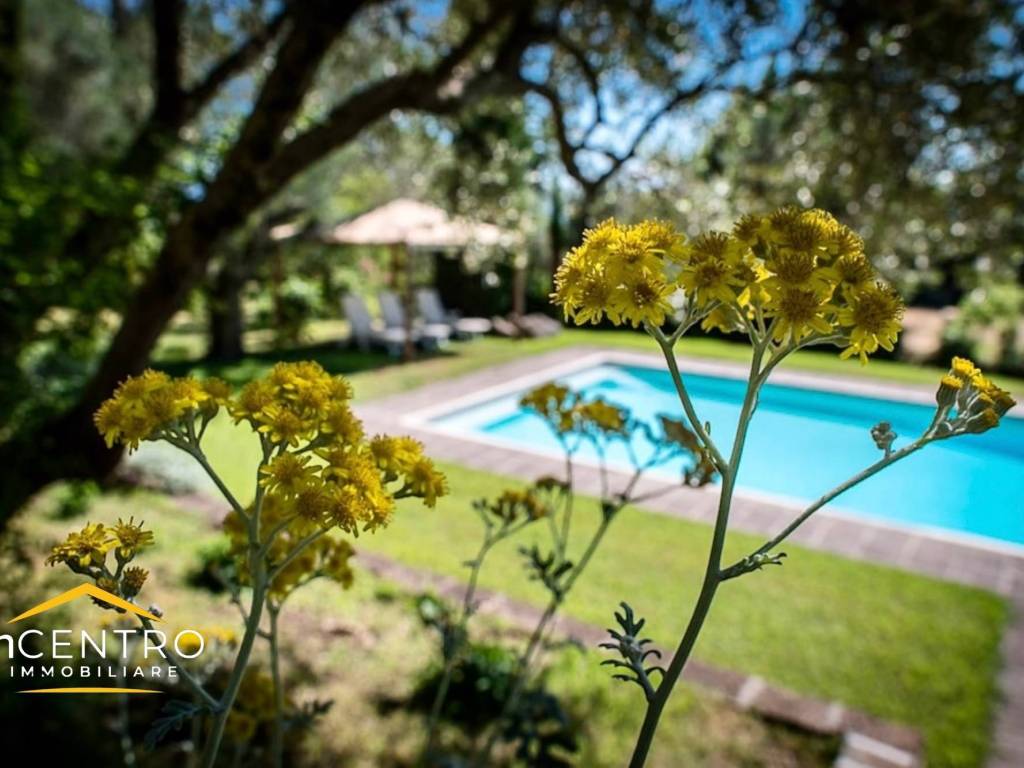casa indipendente in affitto a Bracciano