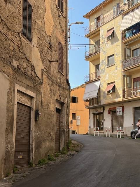 negozio in affitto a Bracciano
