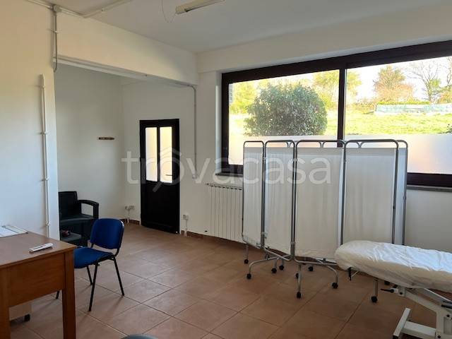 negozio in affitto a Bracciano