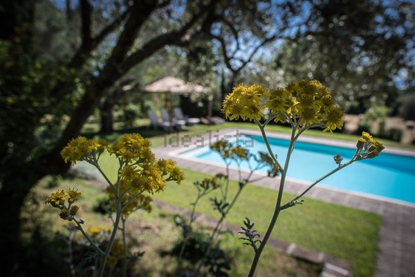 appartamento in affitto a Bracciano