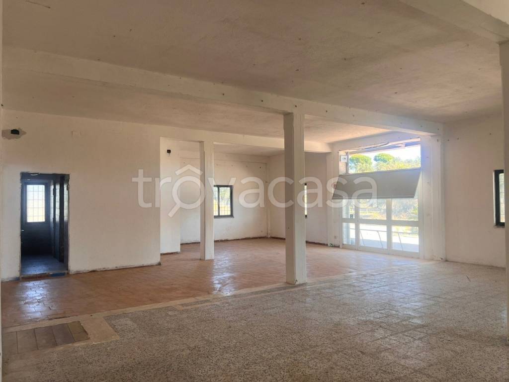 negozio in affitto a Bracciano