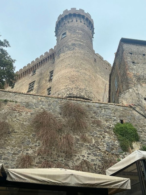 villa in affitto a Bracciano