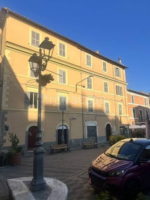 negozio in affitto a Bracciano