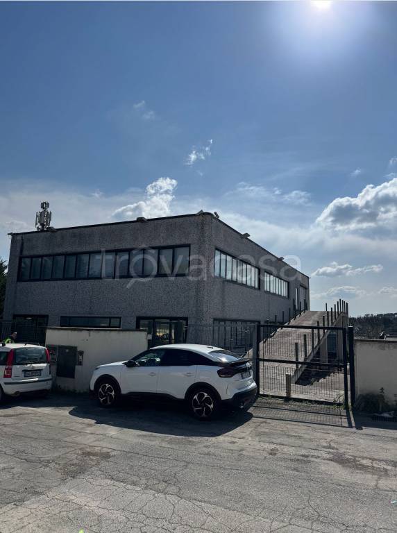 locale di sgombero in affitto a Bracciano