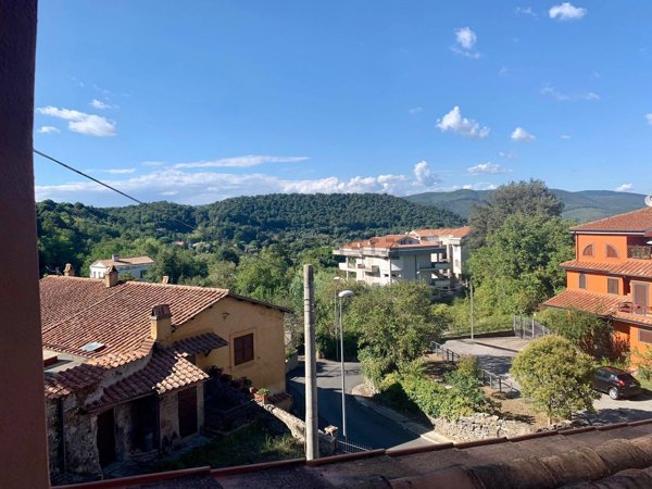 appartamento in affitto a Bracciano