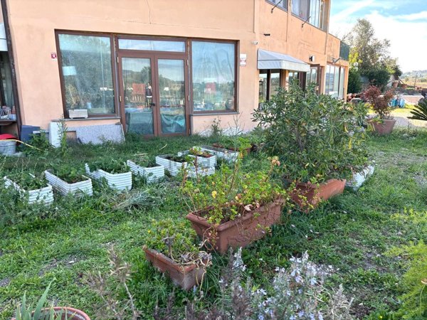 locale commerciale in affitto a Campagnano di Roma