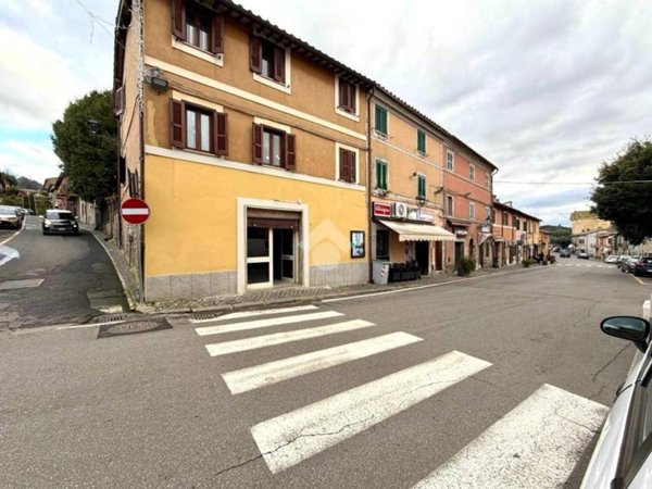 negozio in affitto a Canale Monterano