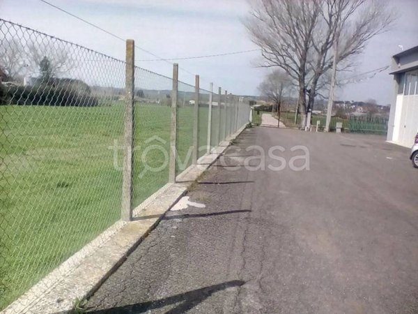appartamento in affitto a Capena